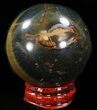 Top Quality Polished Tiger's Eye Sphere #37690-2